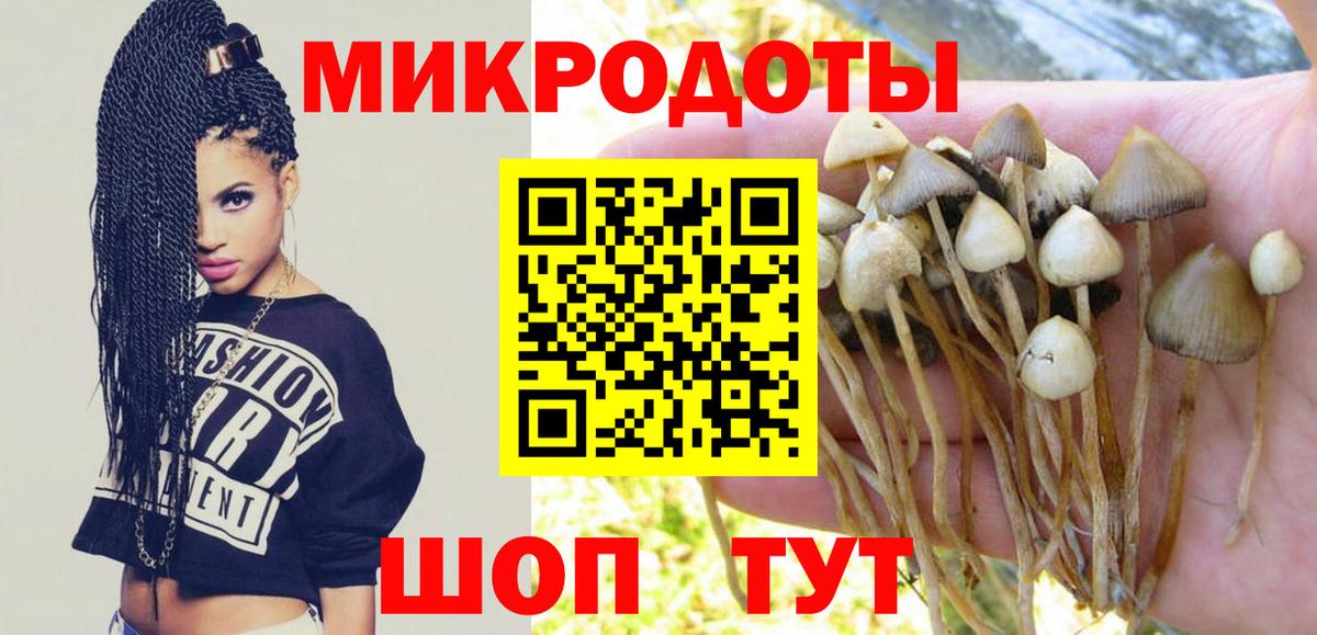 Троицк  Галлюциногенные грибы мухоморы  где купить   Псилоцибиновые грибы Cubensis  Вход с VPN 