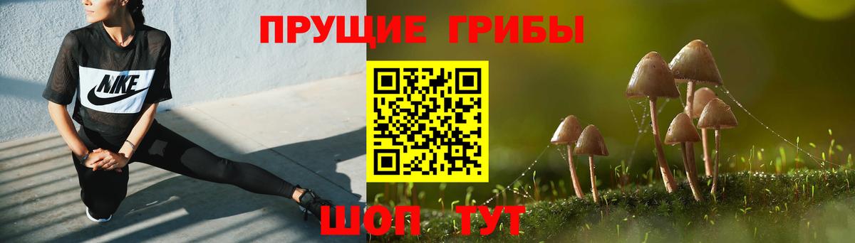Псилоцибиновые грибы Psilocybe Троицк