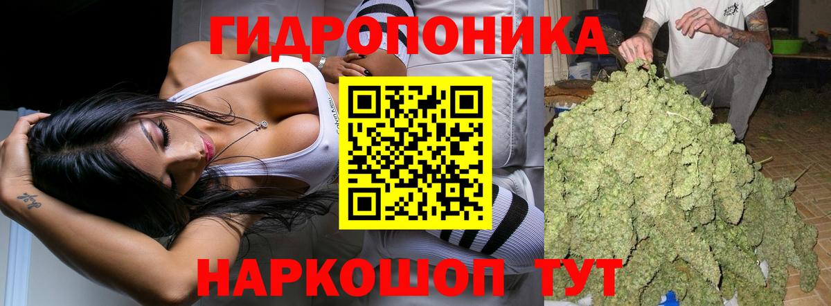 Каннабис SATIVA & INDICA Троицк